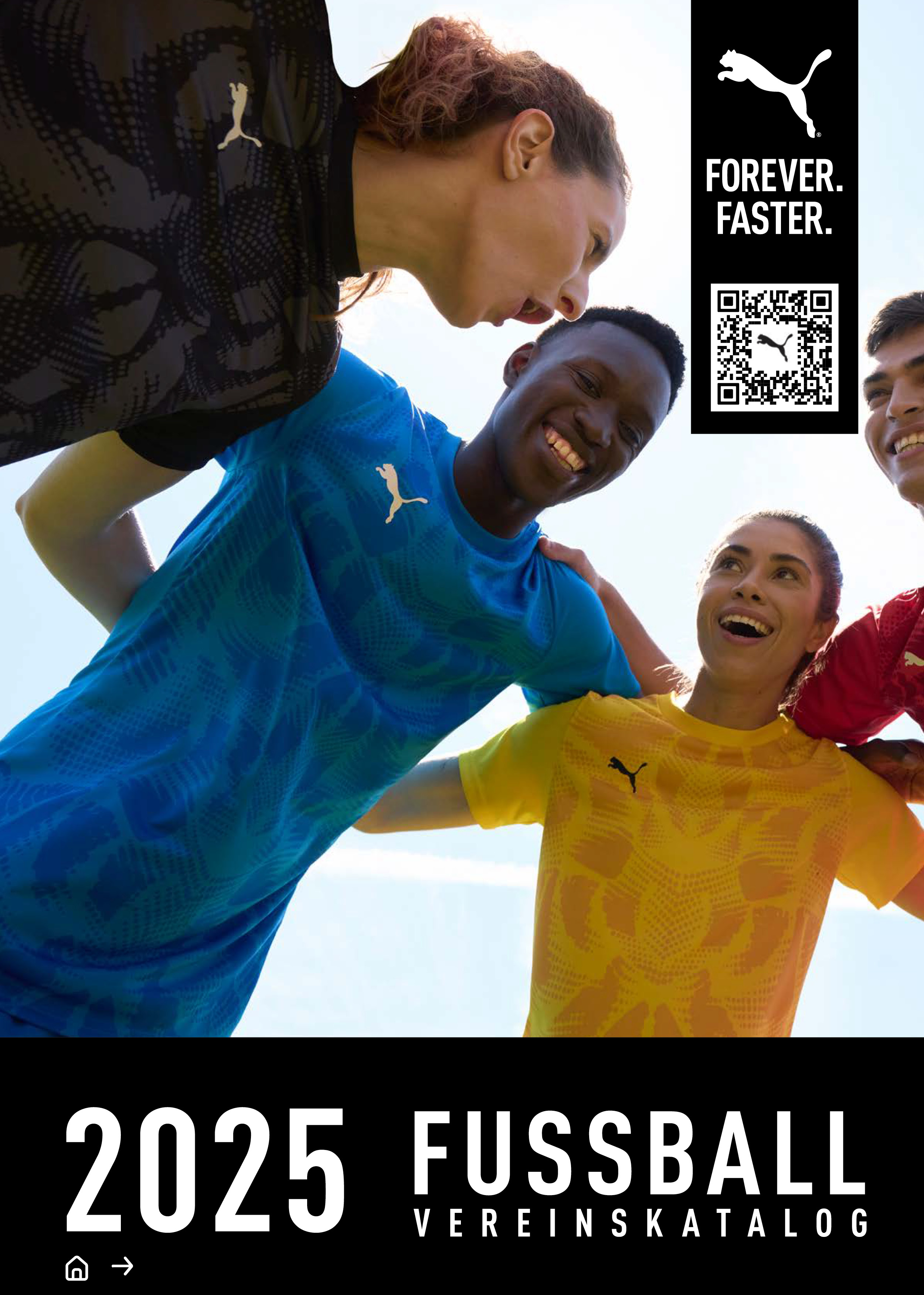 Puma Teamsport-Katalog
