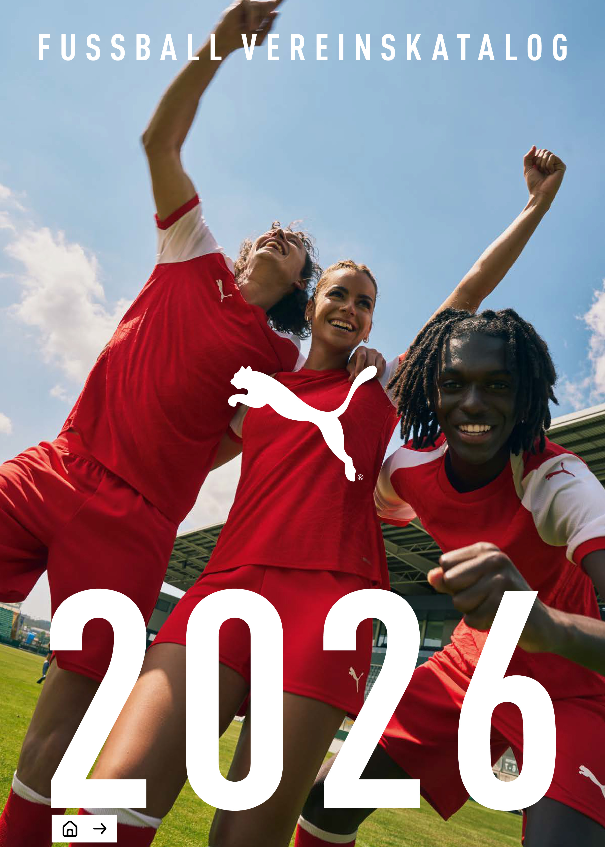 Puma Teamsport-Katalog