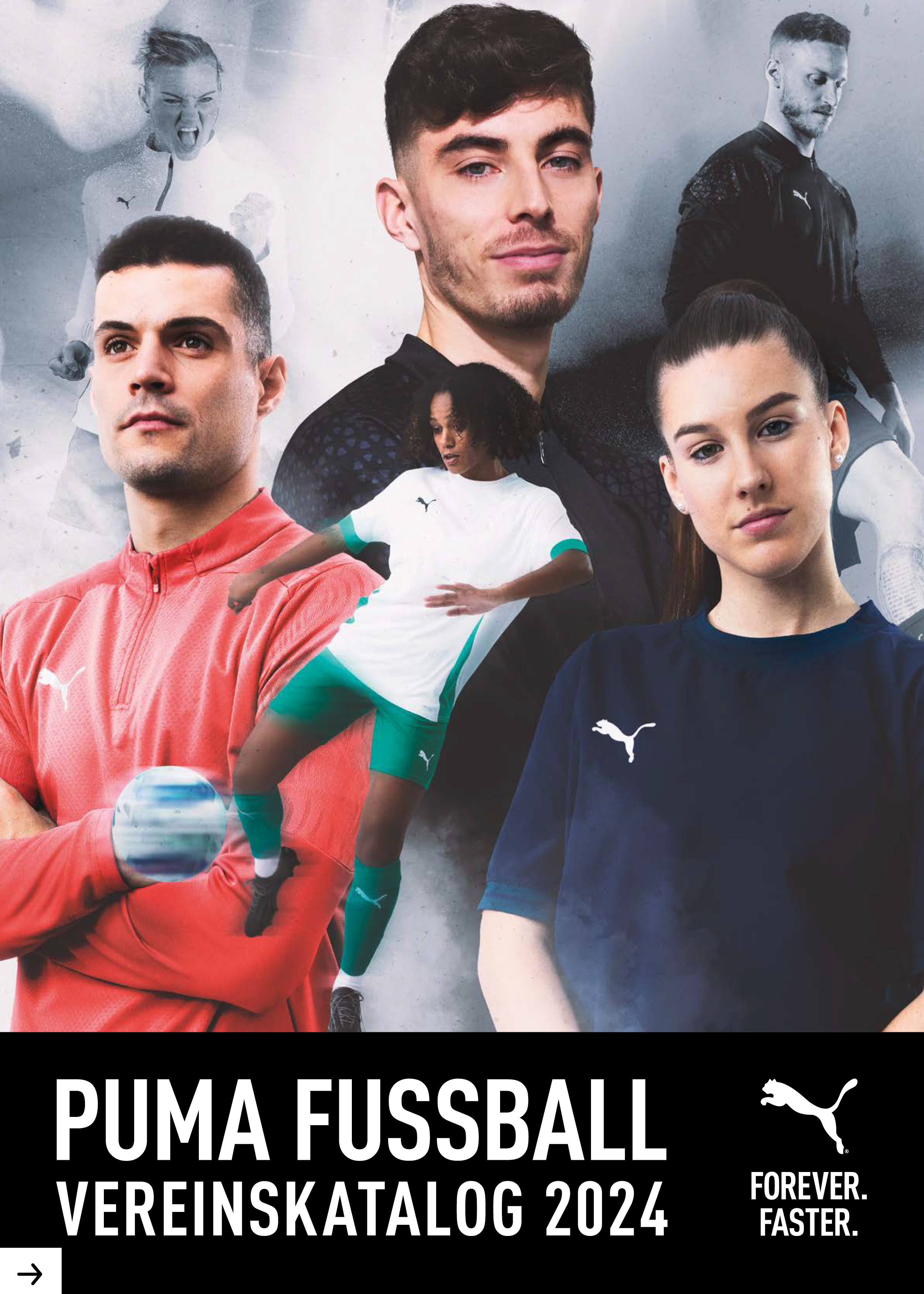 Puma Teamsport-Katalog